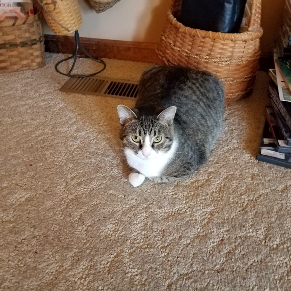 Meet your Posher, Denise - Picture 1 of 1